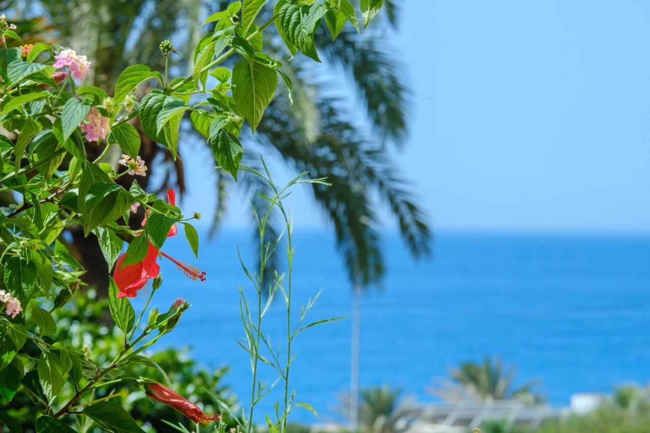Beautiful Torreoceano 92, Pool, Beach Access La Cala De Mijas Exterior foto